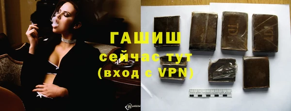 стаф Верея