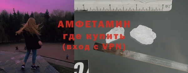 стаф Верея