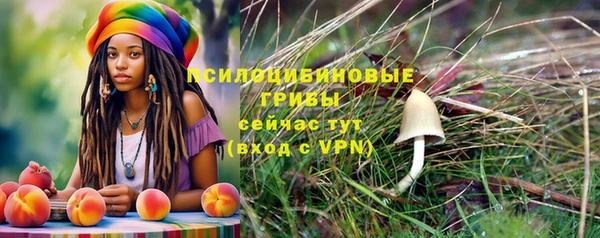 стаф Верея