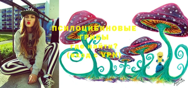 стаф Верея