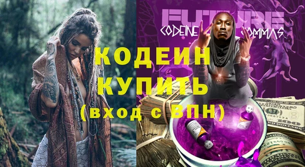 стаф Верея