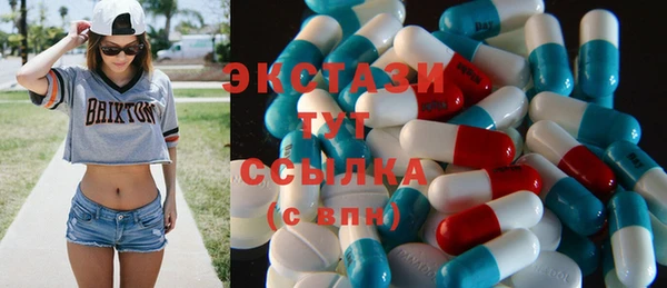 стаф Верея