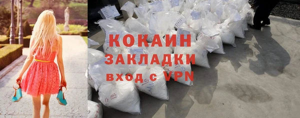 стаф Верея