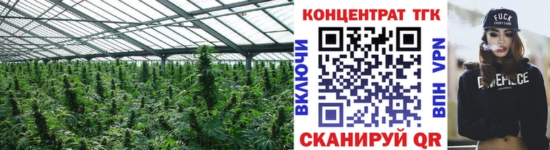 Дистиллят ТГК гашишное масло  Купить где  Пересвет 