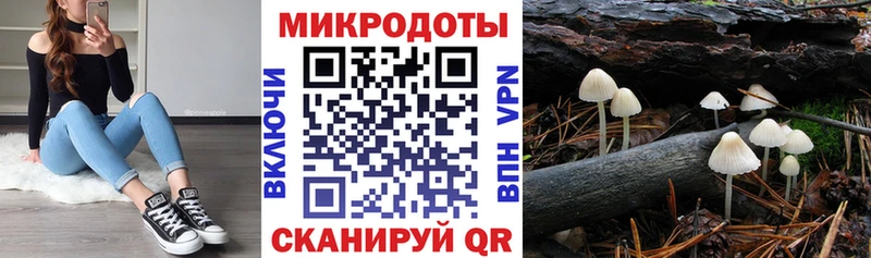 Купить закладки  Пересвет  Галлюциногенные грибы ЛСД 